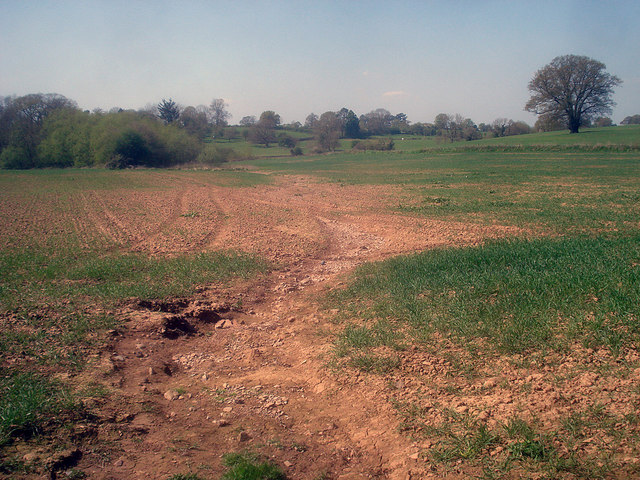 World Day to Combat Desertification and Drought