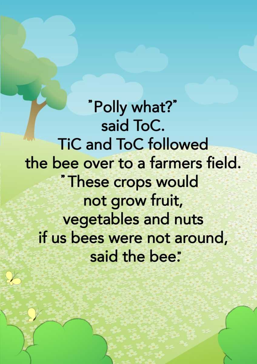 Bee Quiz