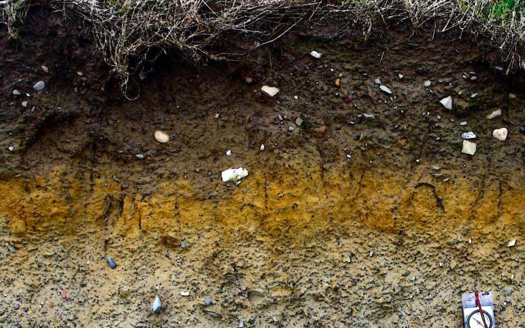 World Soil Day