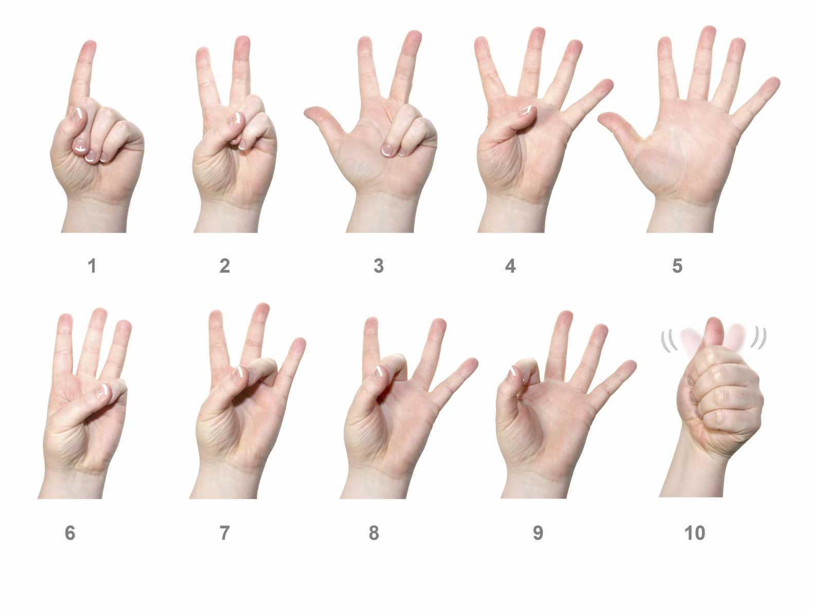 International Day of Sign Languages