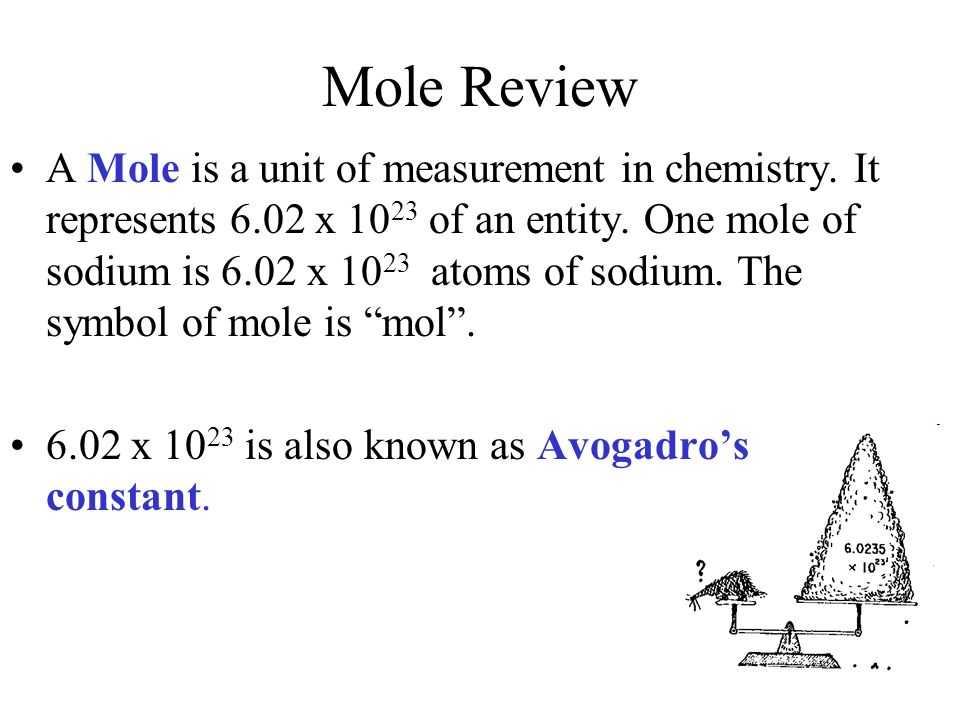 Mole Day